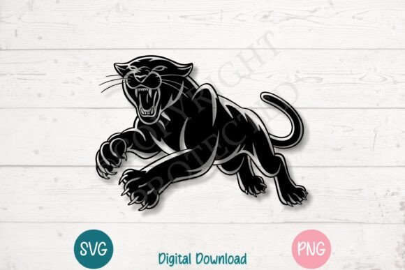 Fierce Roaring Black Panther Attack Review