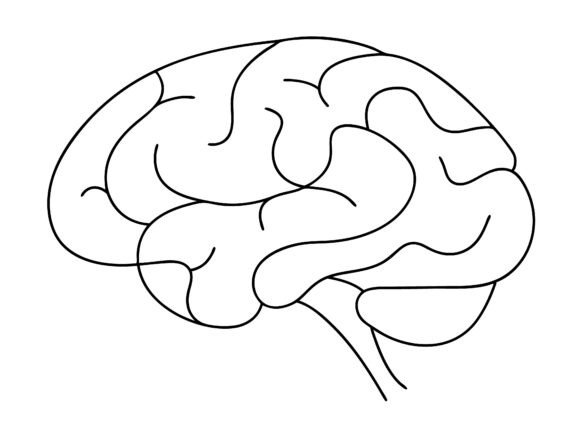 One Line Art of Human Brain Drawing Review